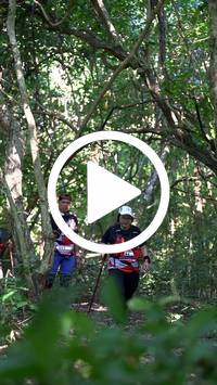 BIB:  <button type="button" onclick="openModal(28082572)" class="btn btn-primary btn-sm float-right" data-toggle="modal" data-target=".modal-high-quality">
                <i class="fa fa-download"></i> Download
                </button>